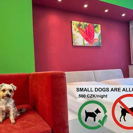 克鲁纳酒店 3* 奥帕瓦